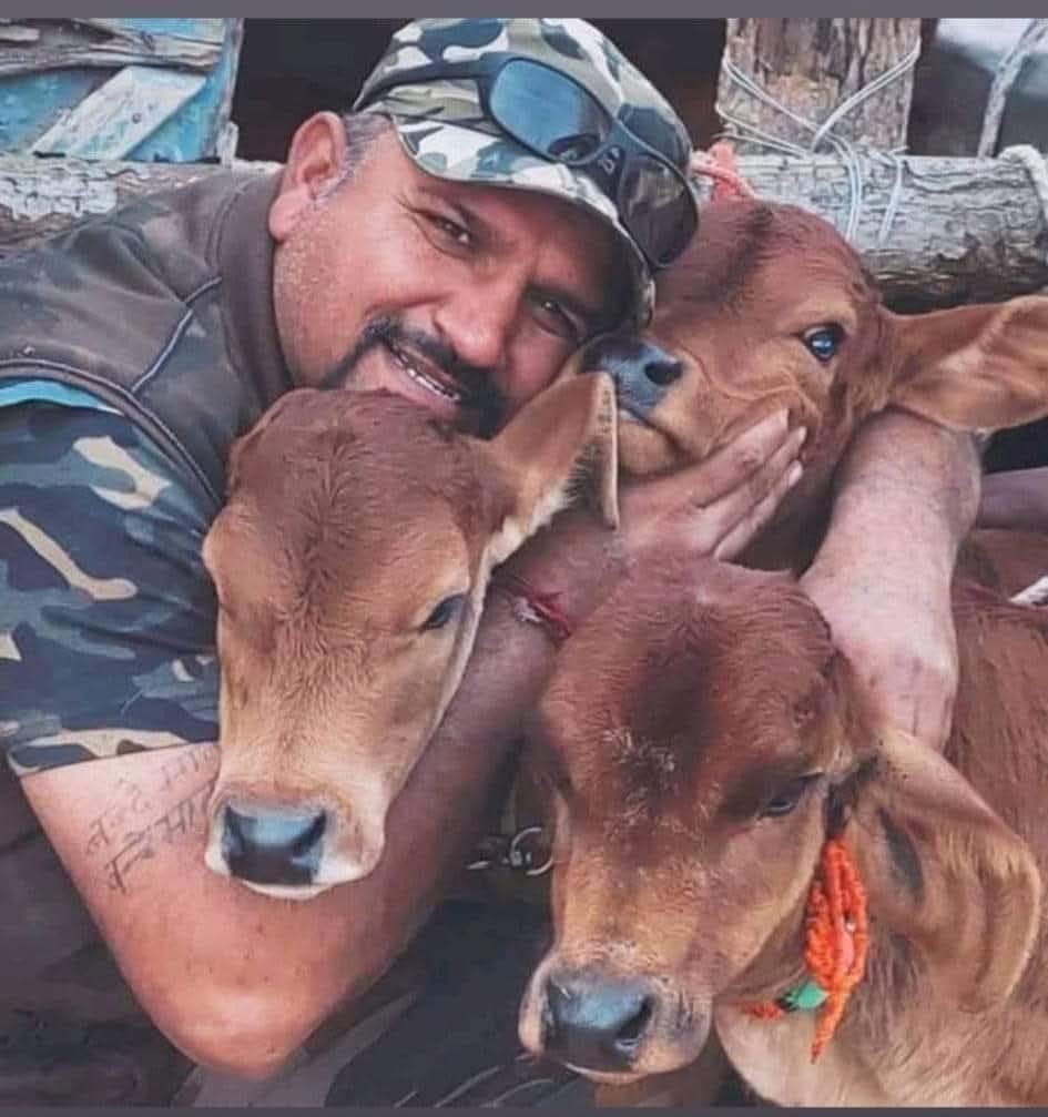 Gau Seva Mission